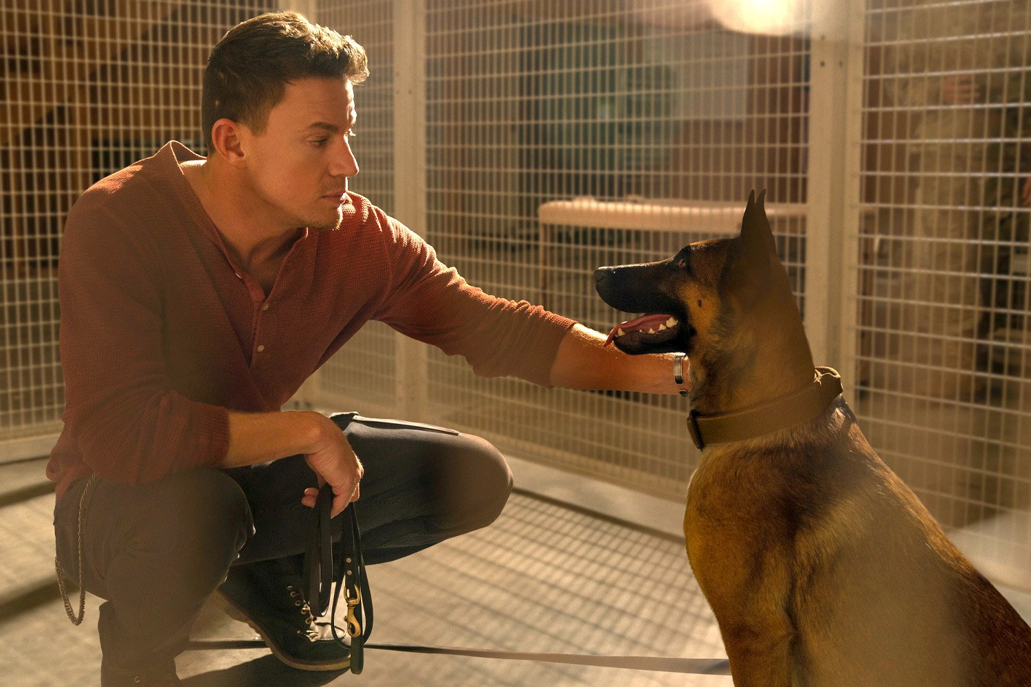 Everything Wrong With Dog in 19 Minutes or Less