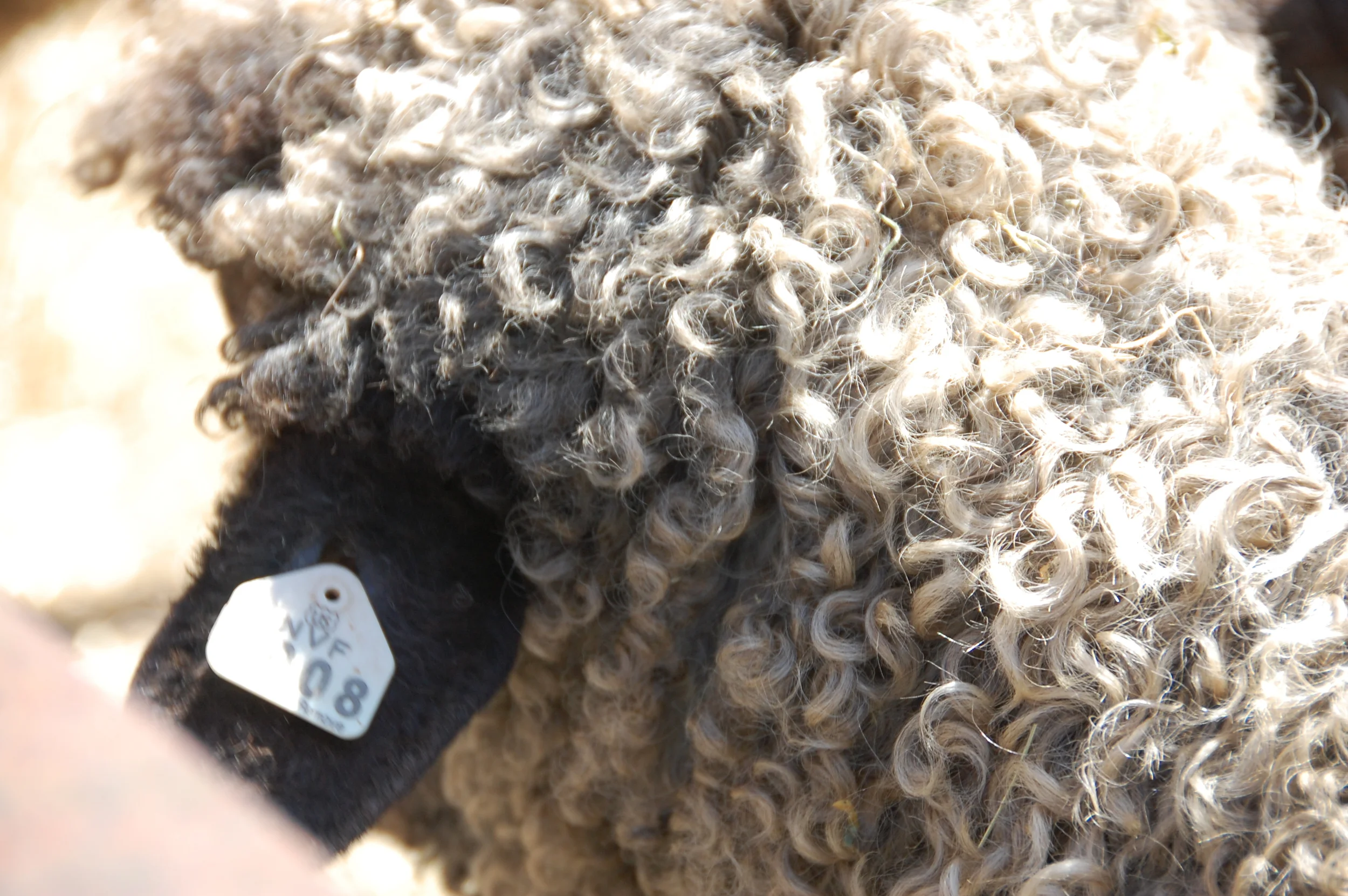 In Our Weakness, The Spirit Himself