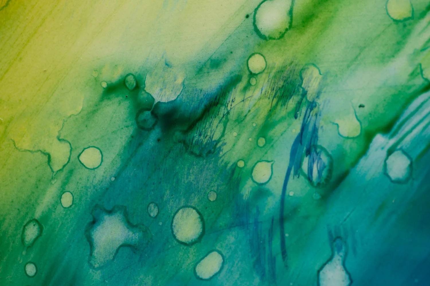 The Word Speaks in Pictures