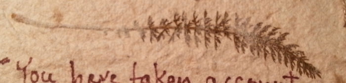 Here is a little leaf embedded in the handmade paper.