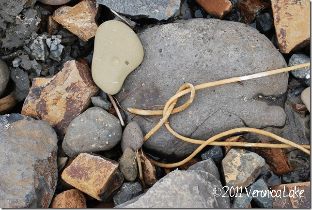     
 800x600 
      Everywhere I look, I see the great Masters hand!&nbsp; Every rock is unique and special – they could have been all the same color or shape; but rather, they are beautiful together as they lie together on the shores of the beach. 