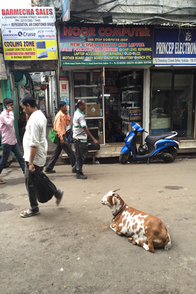 The computer store, street view... (photo credit Abby Mayer, 2016)