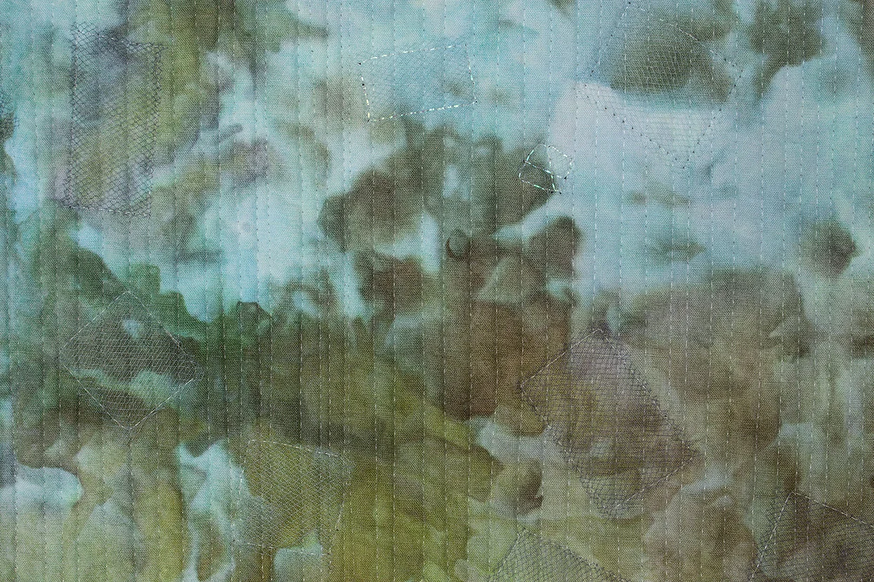 Just Imagine (close detail)