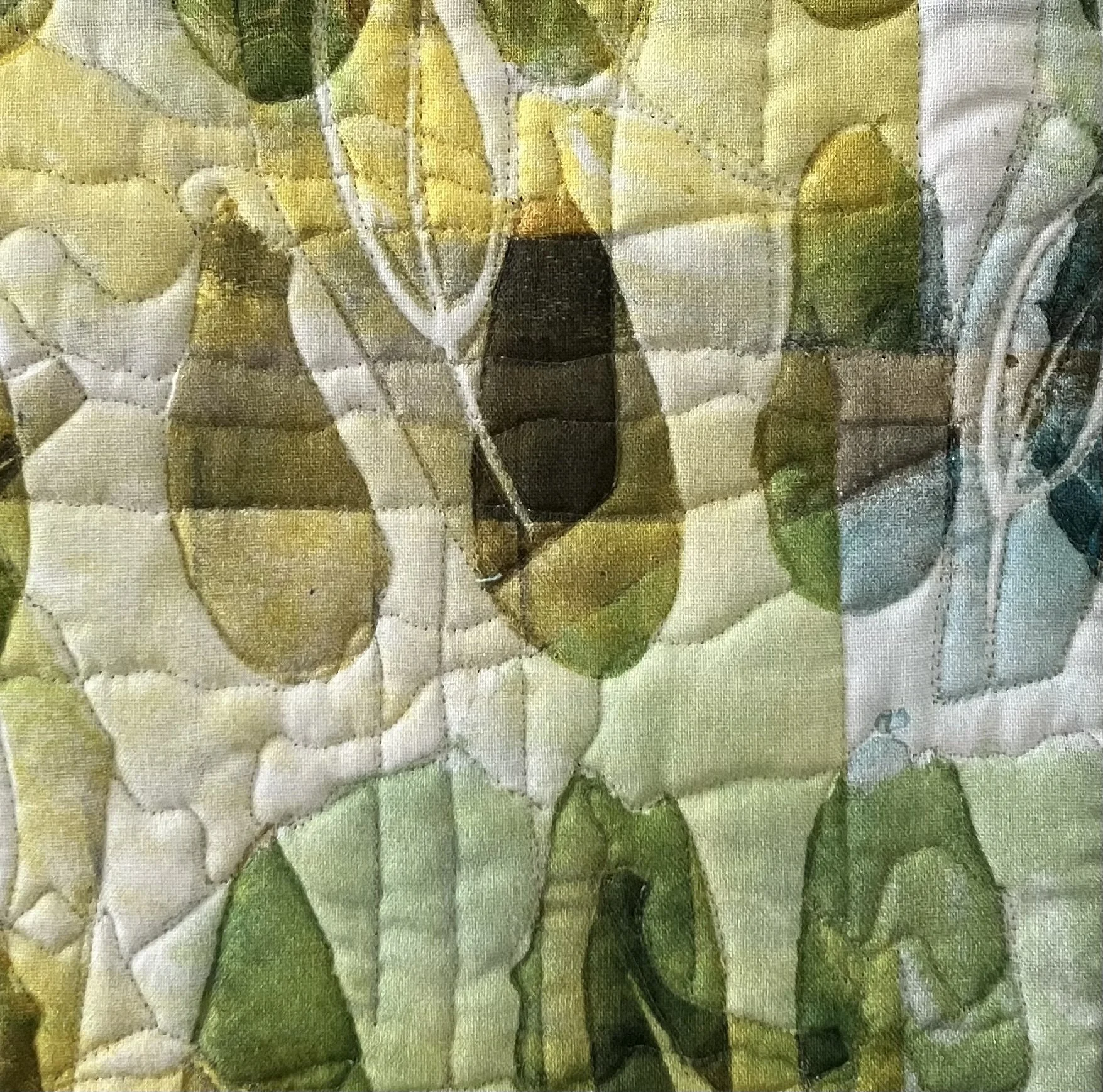 Citrus (close detail)