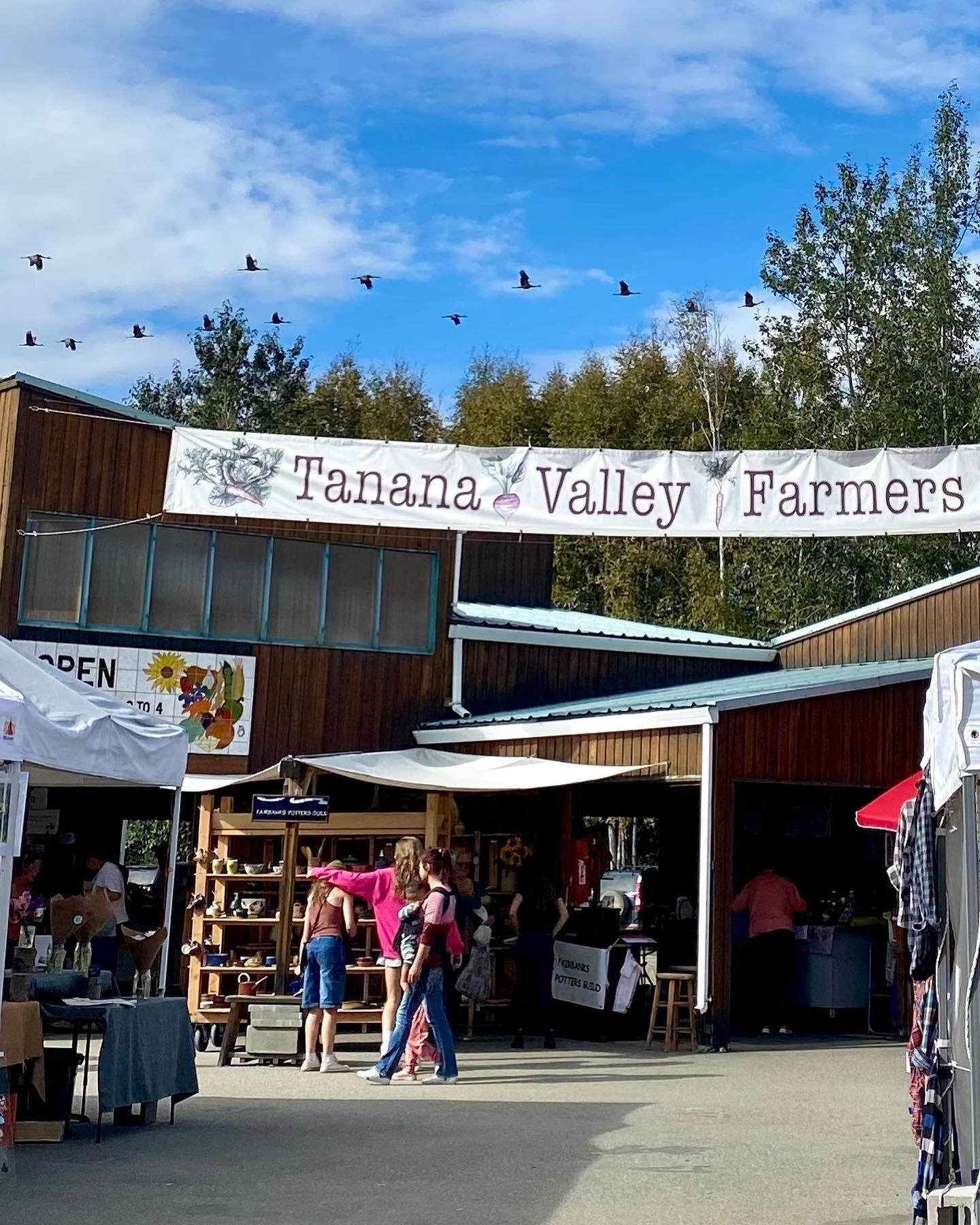 3 signs it&rsquo;s harvest time in this pic. Can you spot them all? 🍂🌾 At the Farmers Market today, 9-4! 2600 College Road
#PrintworthyLove