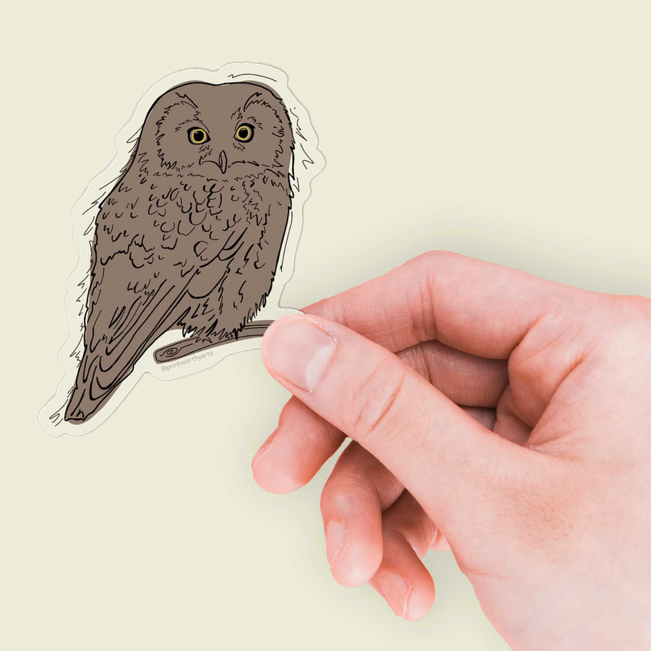 Sticker_Little-Boreal-Owl_Hand.jpg