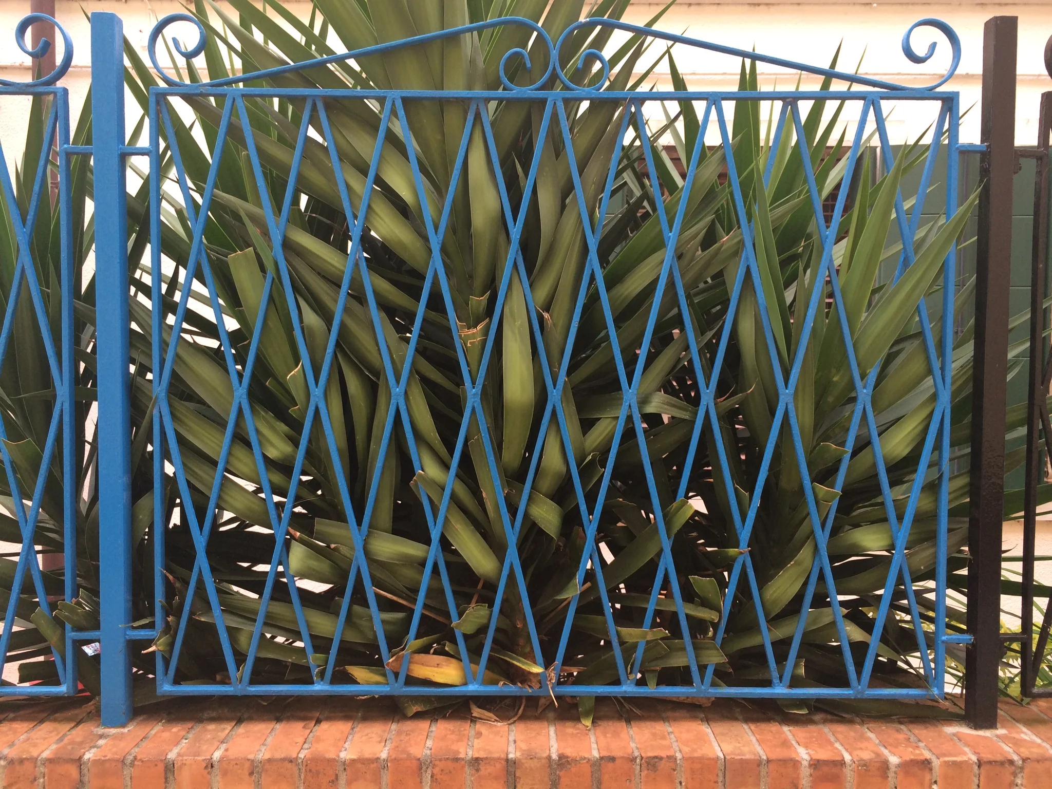 Burano, Venice, Italy/estilo_NYC