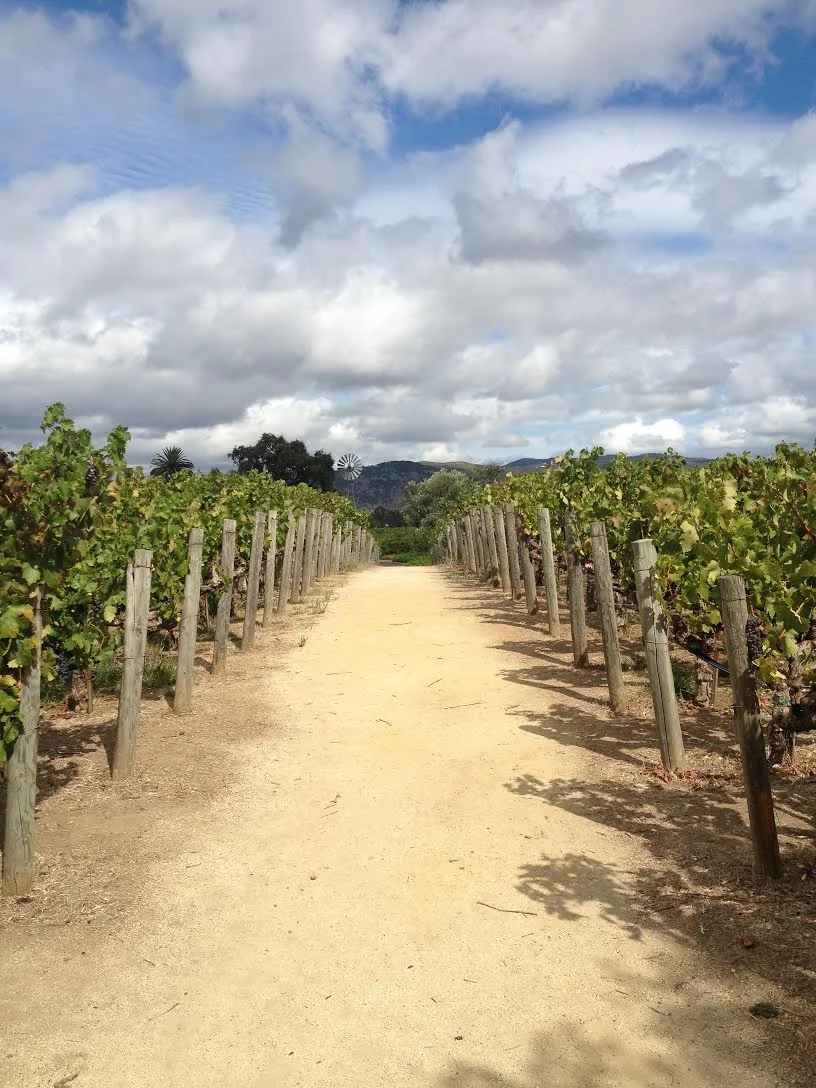 A Weekend Trip to San Fransisco, Oakland, and Napa Valley