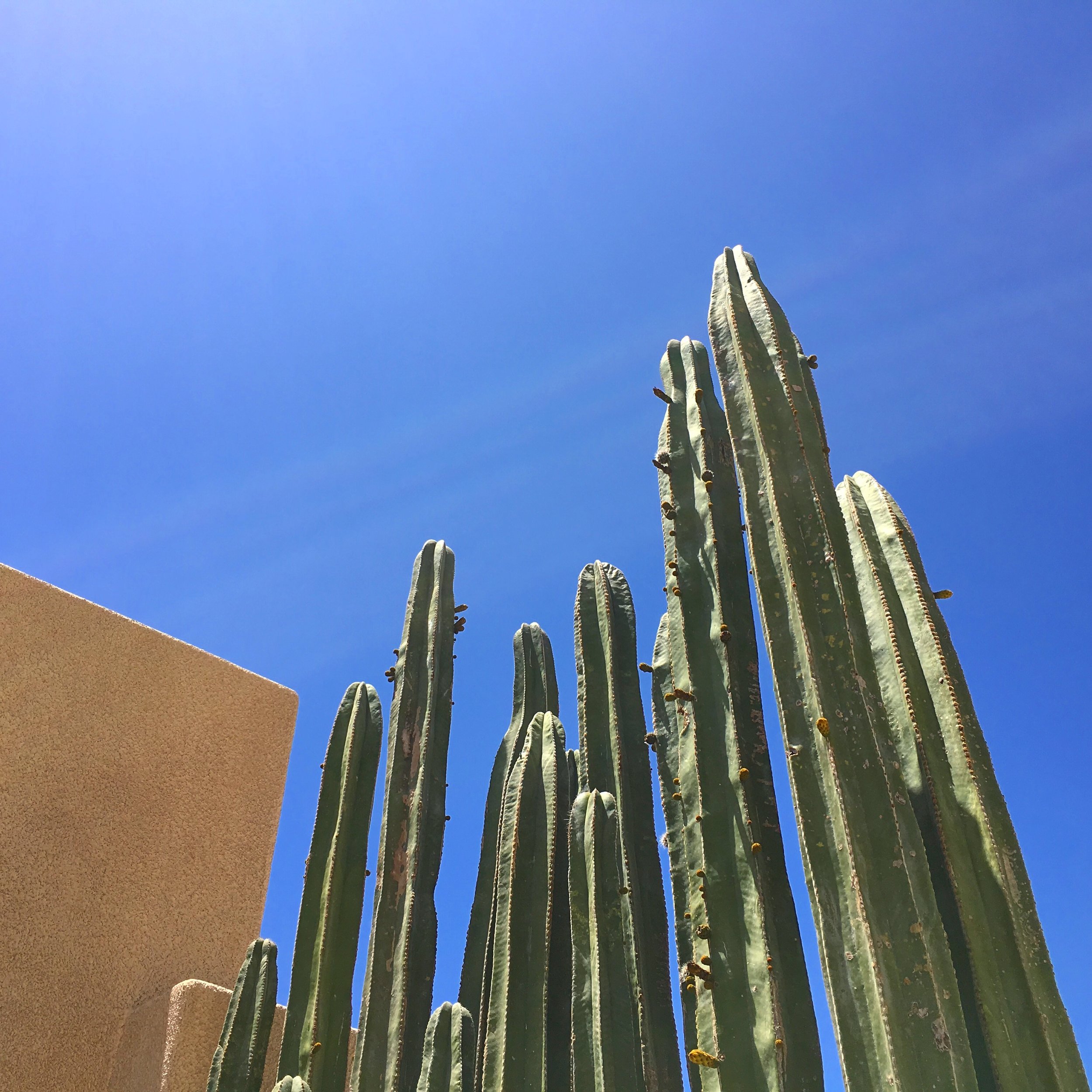 The Best Way to Spend 24 Glorious Hours in Cabo