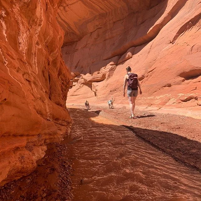 Another great #Moab getaway. New trails discovered + great camping right on the Colorado river.