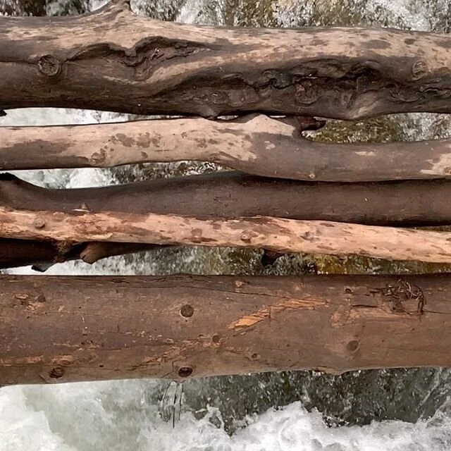 Signs of life.