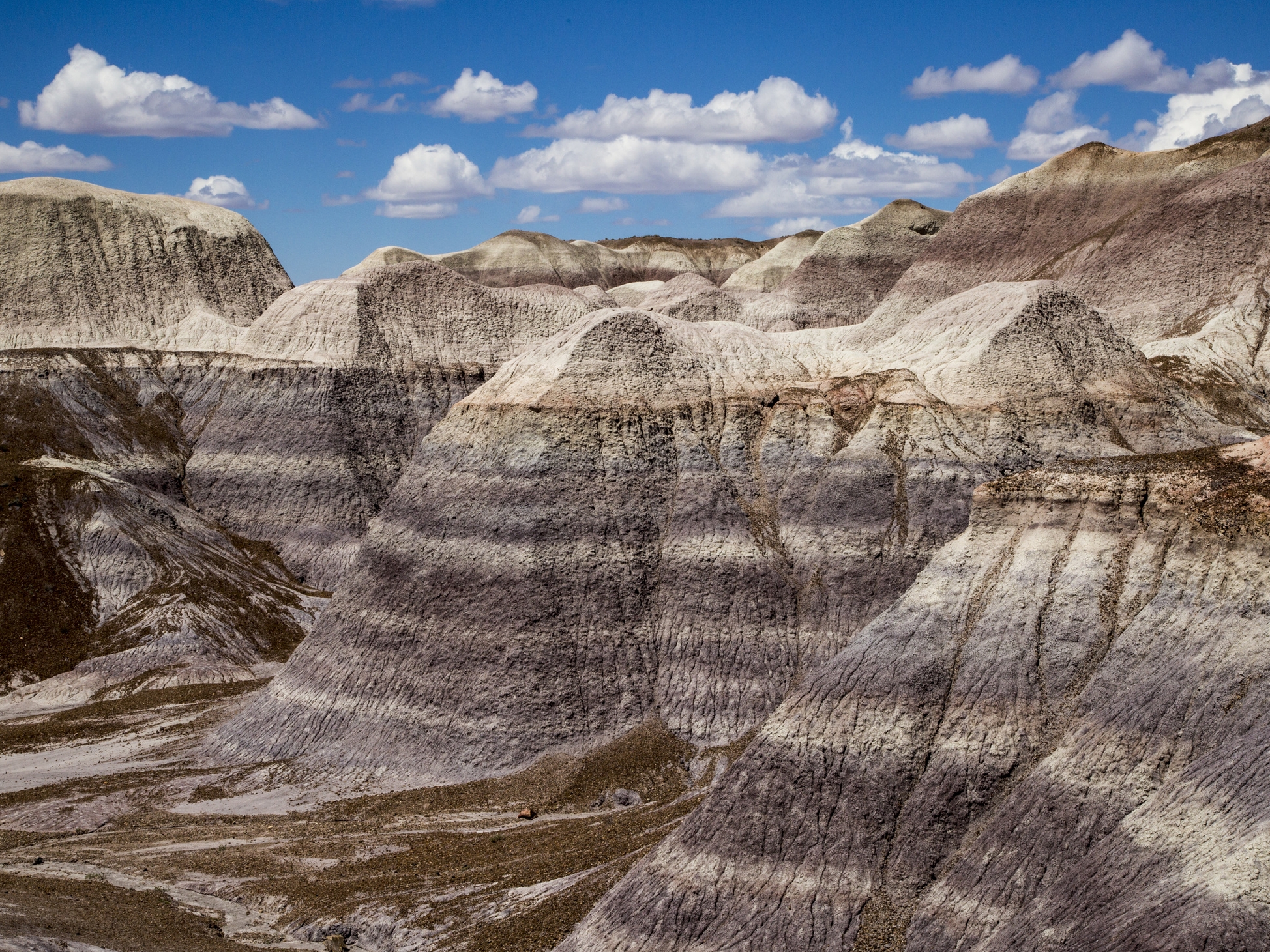 Painted Desert