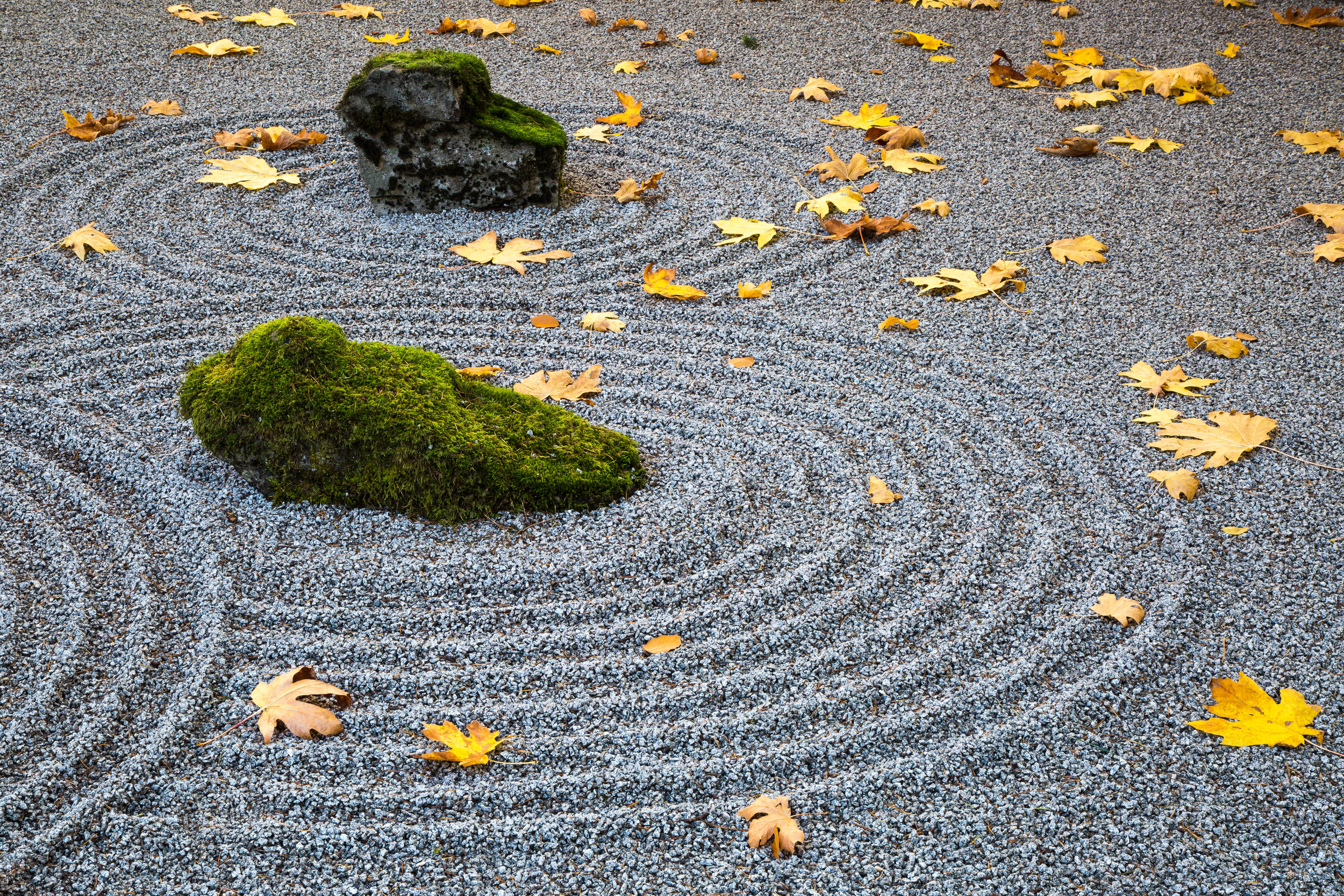 Sand and Stone, Japanese Garden, Fall