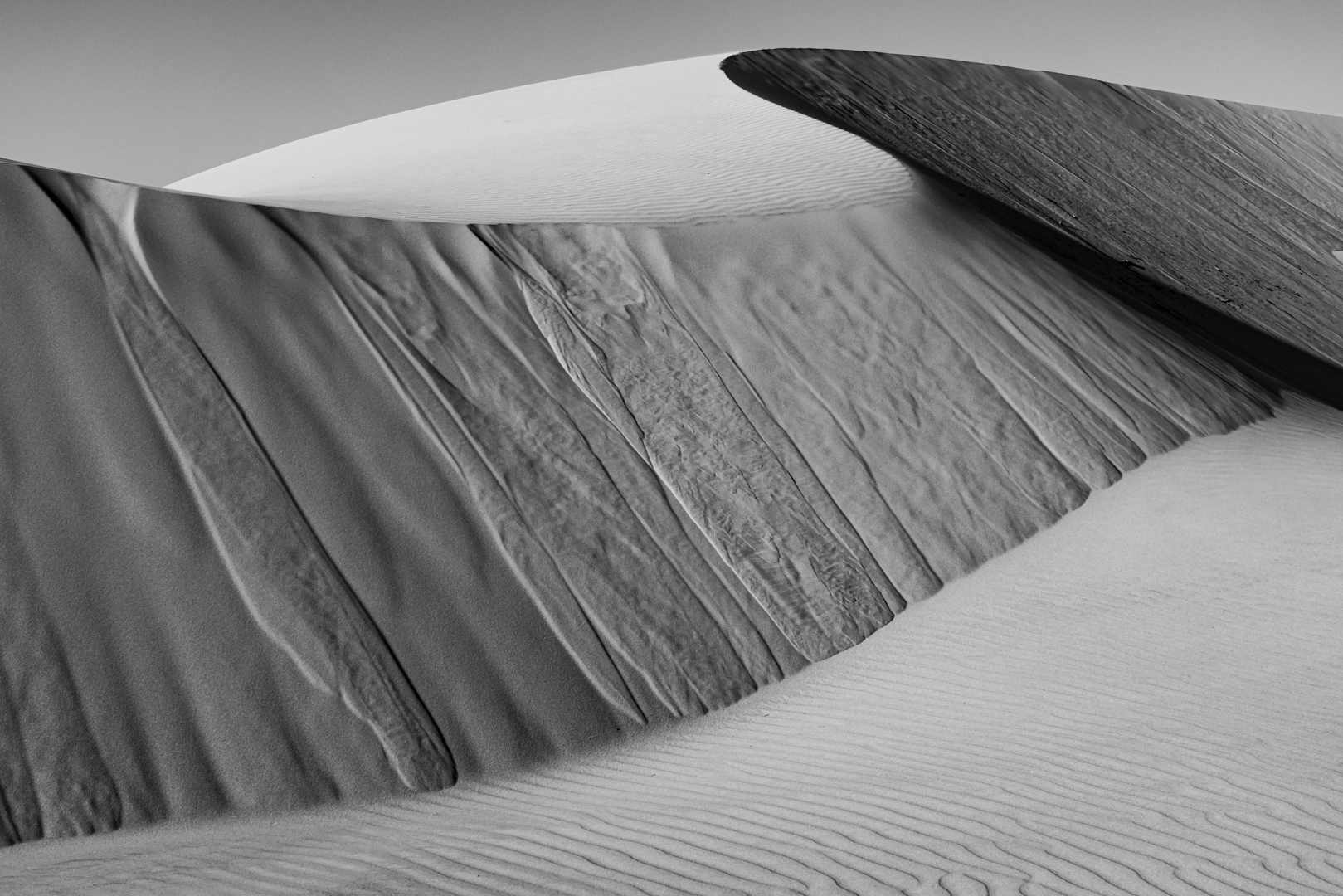 Dunes 3, Florence