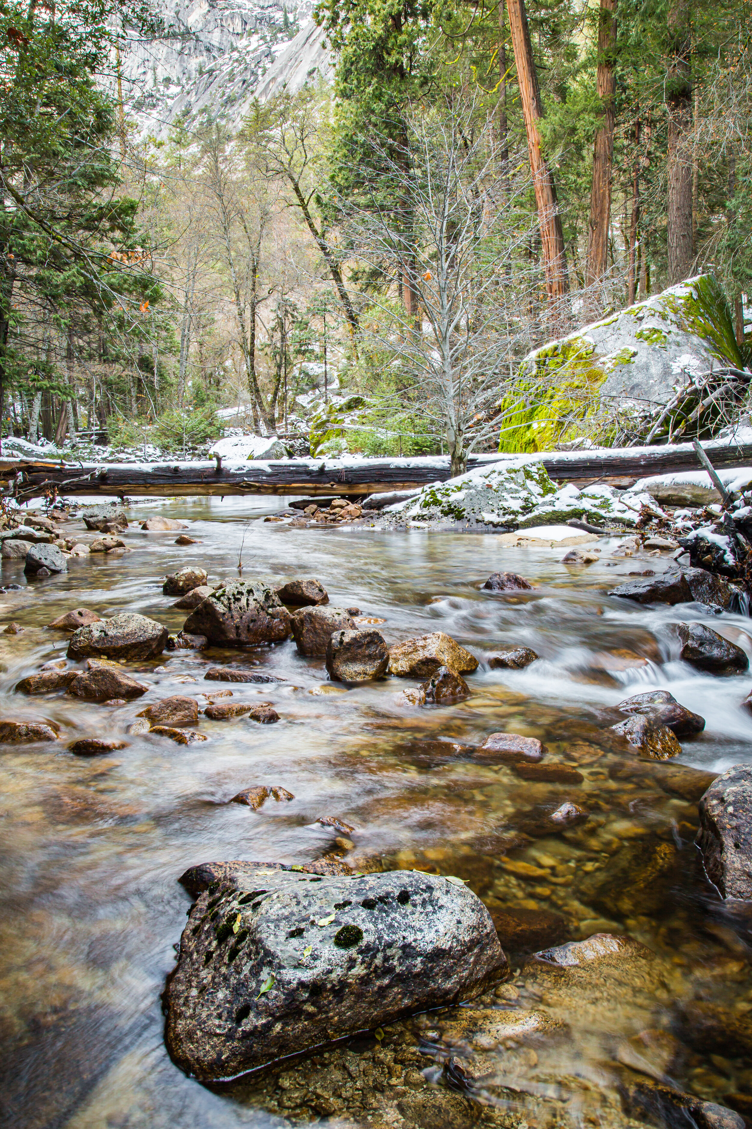 Tenaya Creek, Late Fall