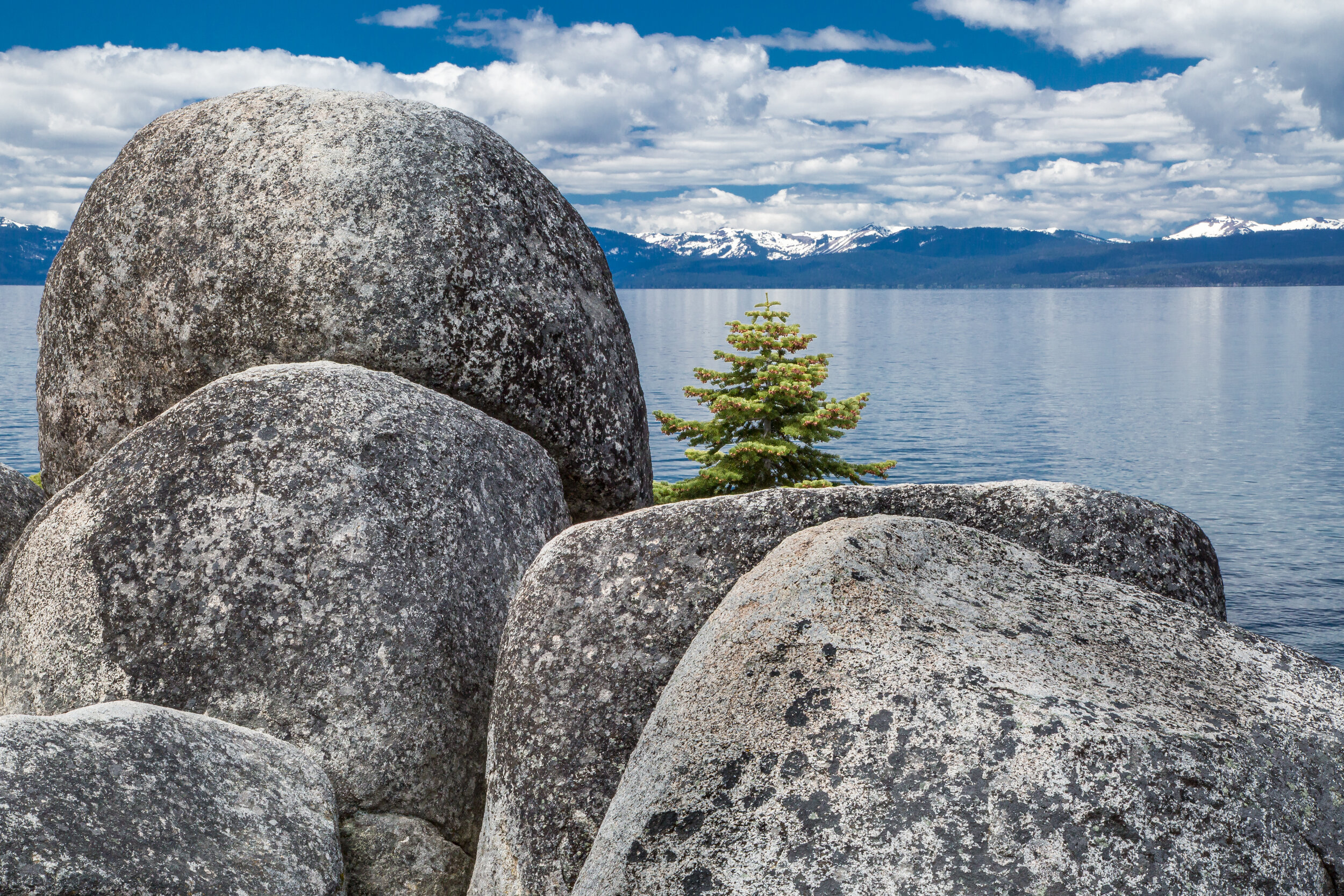 Boulders and Tree, Sand Harbor