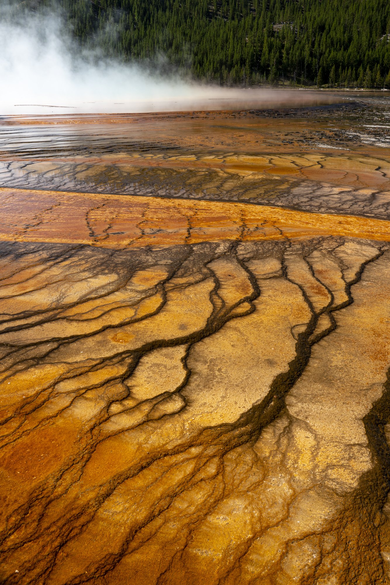 Geothermal Pattern, Yellowstone