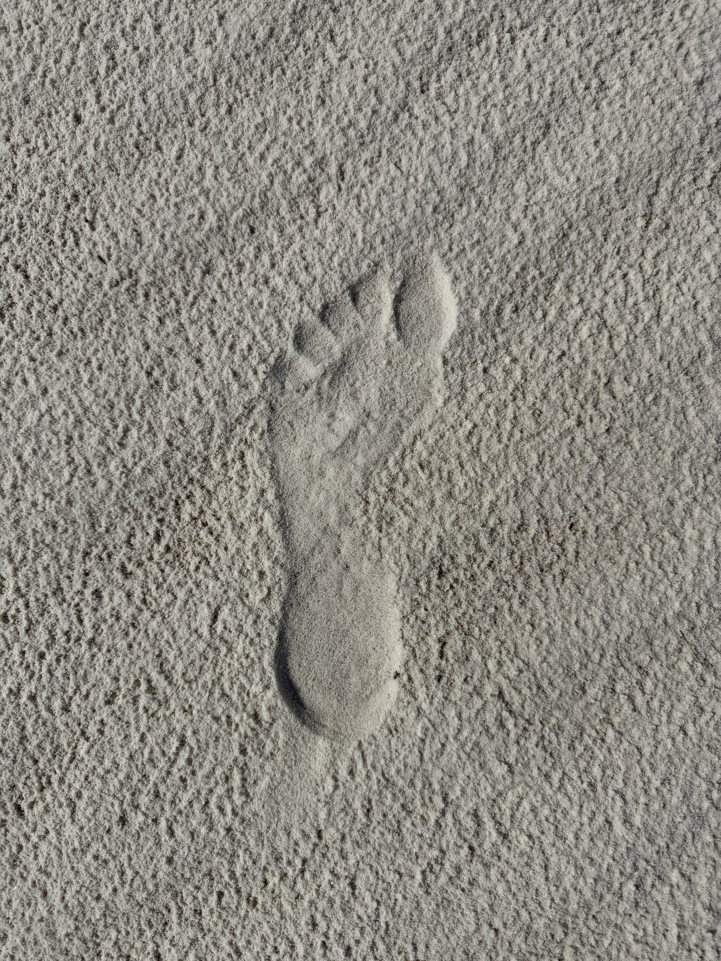 Footprint