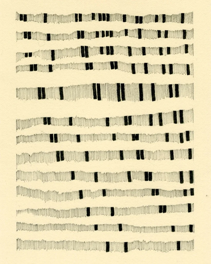 Fiber on Paper