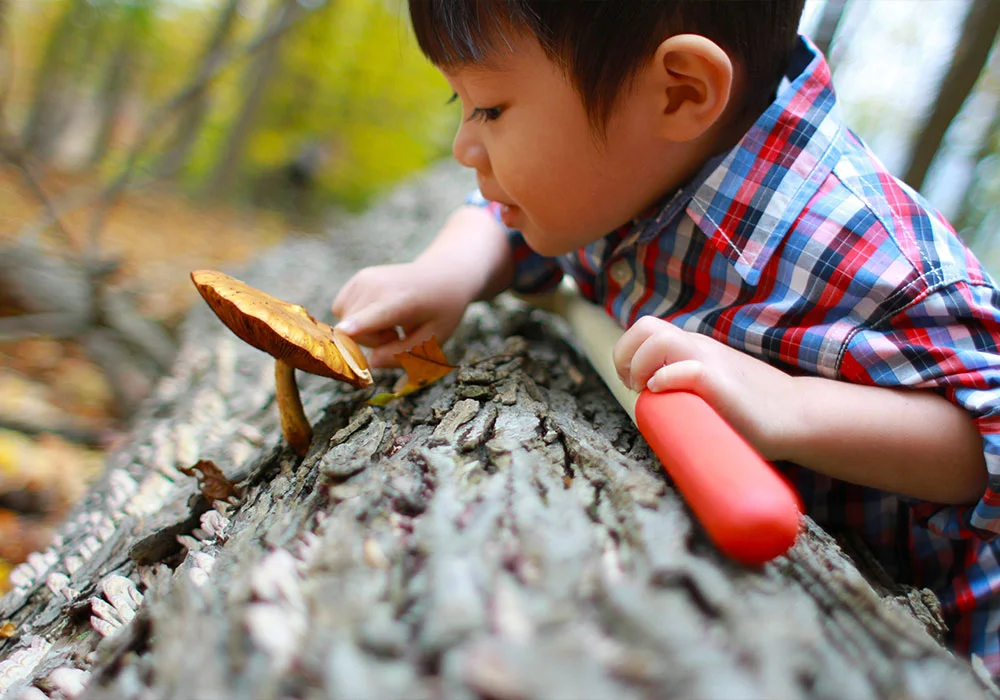 blog_post_stick_outdoors_03.jpg