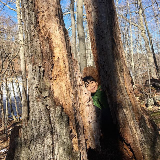 Found you! #waterandlightning #hideandseek #naturekids #childrenunplugged #childhoodunplugged #trees