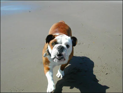 vet_visit_11.jpg