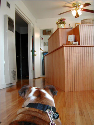 vet_visit_8.jpg