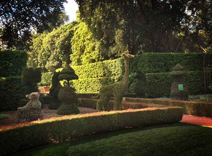 Topiary is the tops