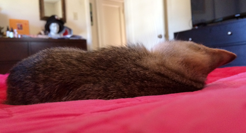 This is what I saw when I woke up.