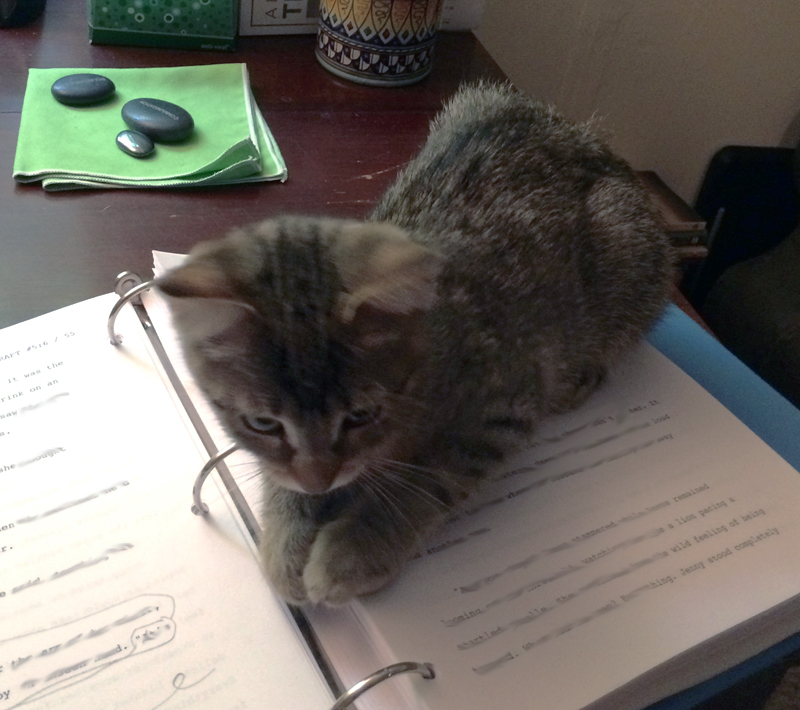 My editor.
