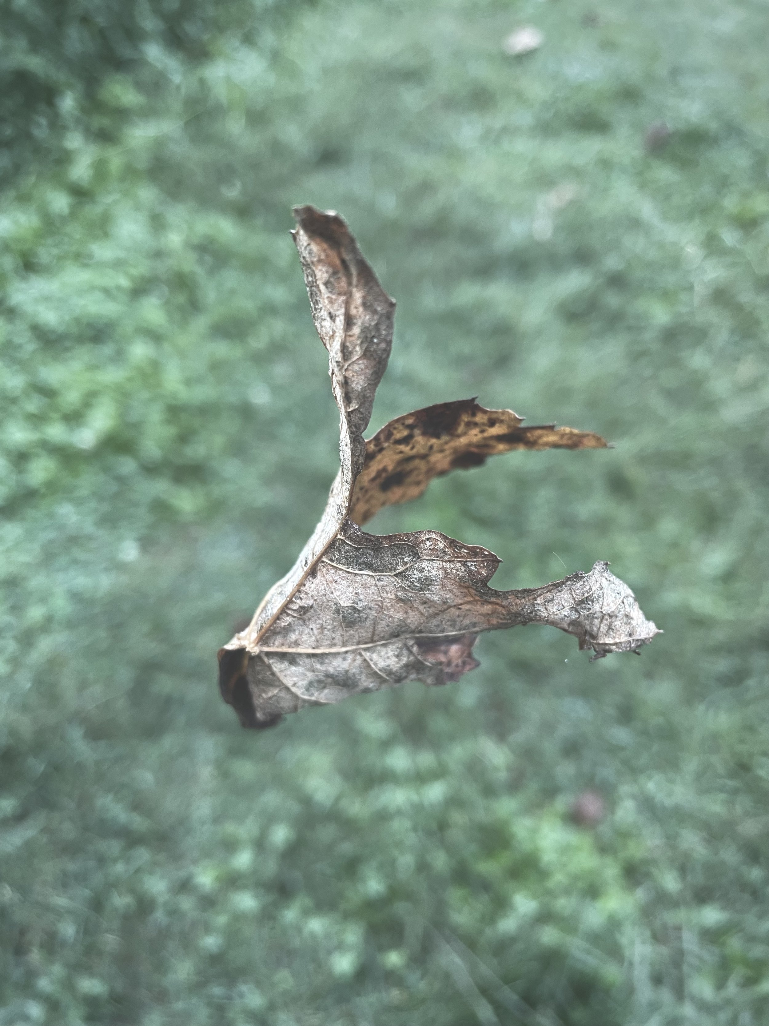 IMG_5854.jpeg