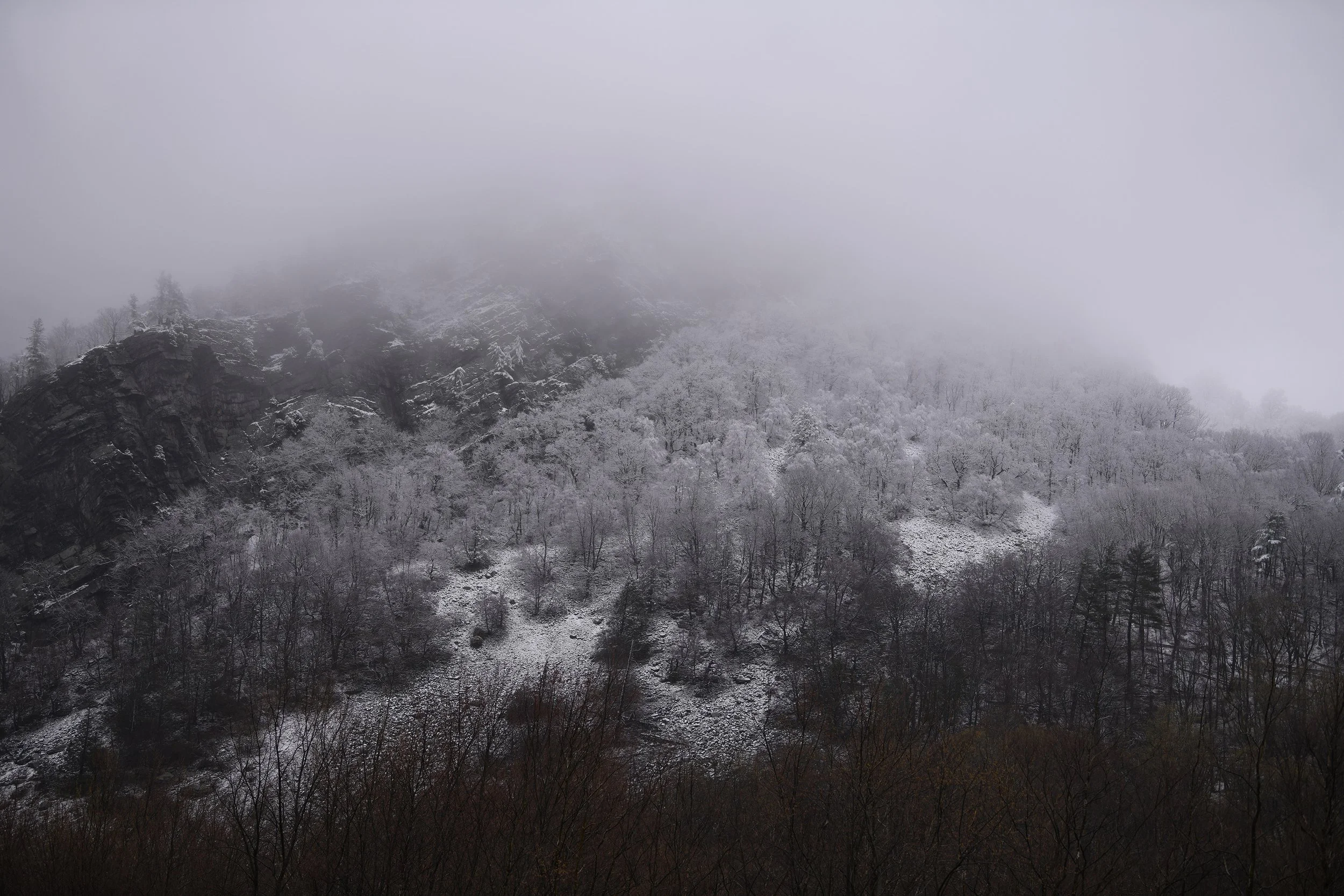 20250412_Aprl Snow_0184.jpg