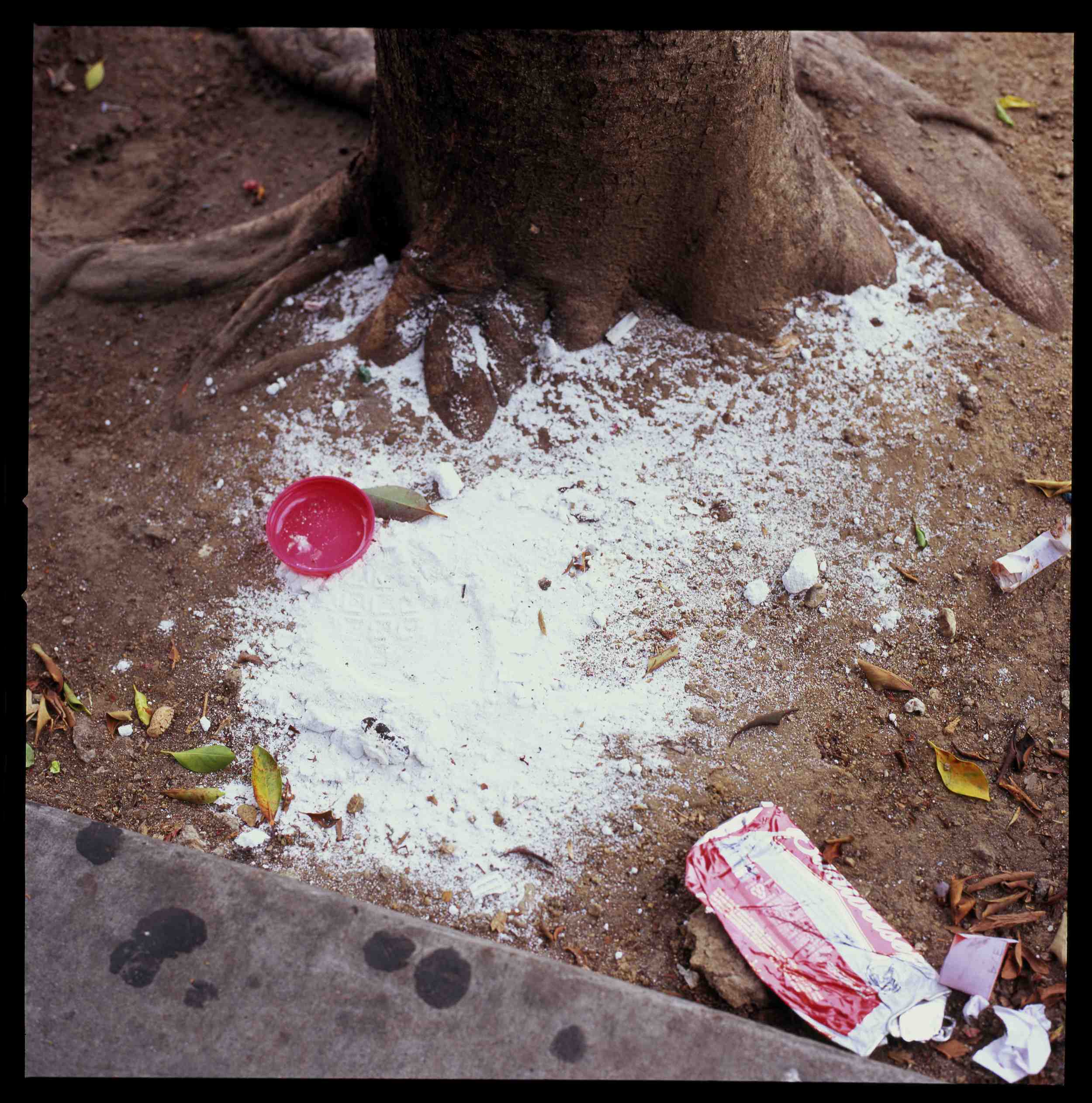 white mess tree.jpeg
