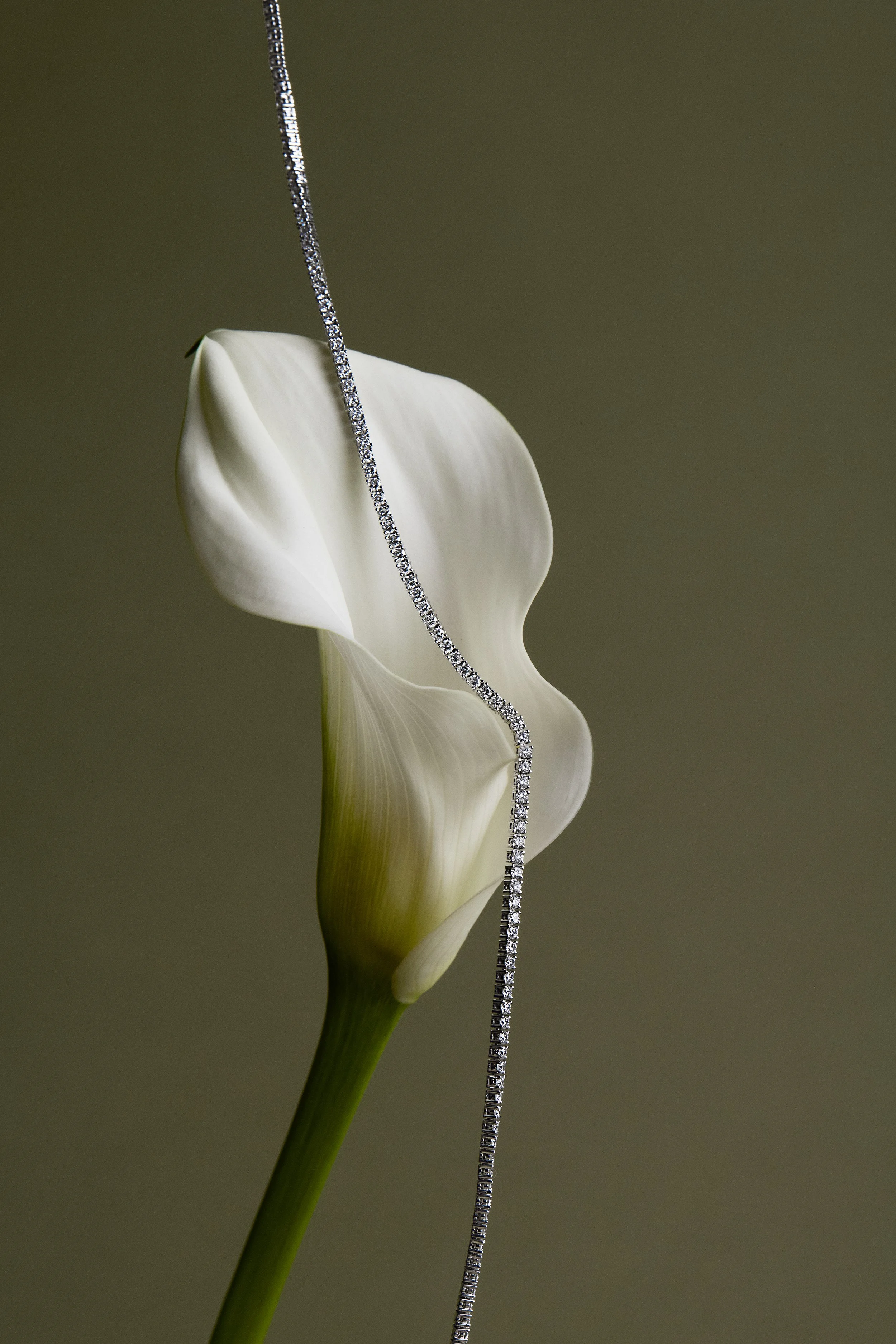 Behind the Lens, Still Life Workshop