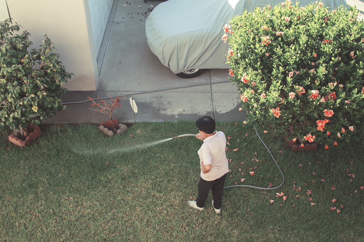 03.09.2014 Catching the neighbours breaking the Cali water restrictions.