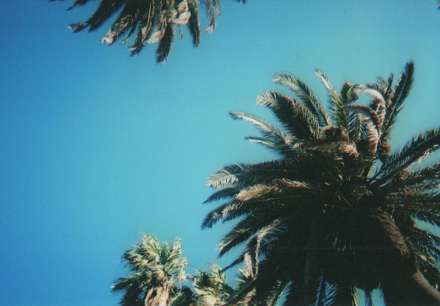 27.10.2014 Finally scanning some photos from some of my disposables from when I was in LA visiting friends in September. 