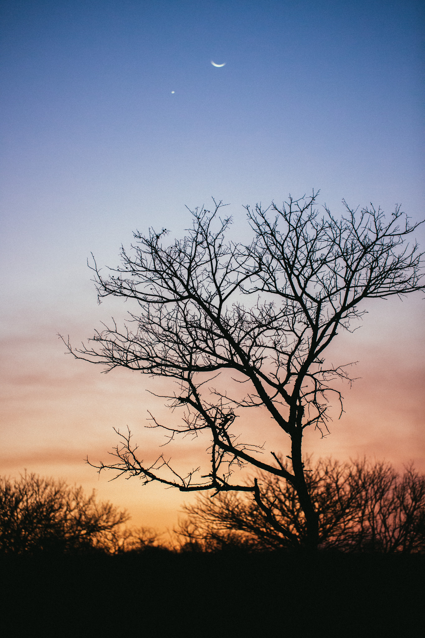 03.09.2016 Sunset in the bush.