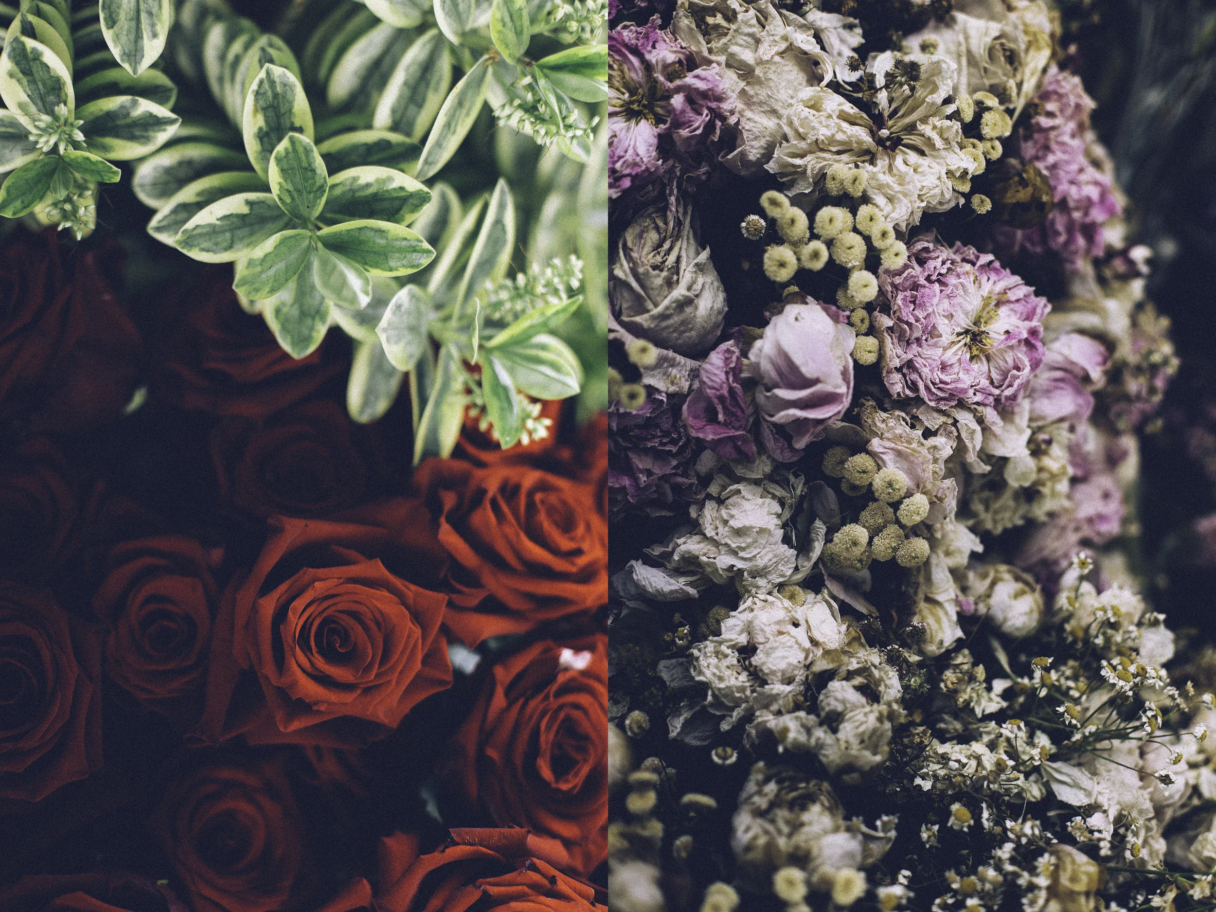 11.07.2019 Flowers on the graves in Cimetière de Montmartre.