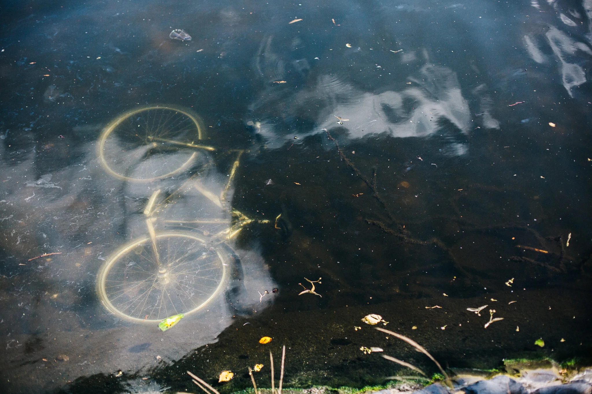 18.08.2019