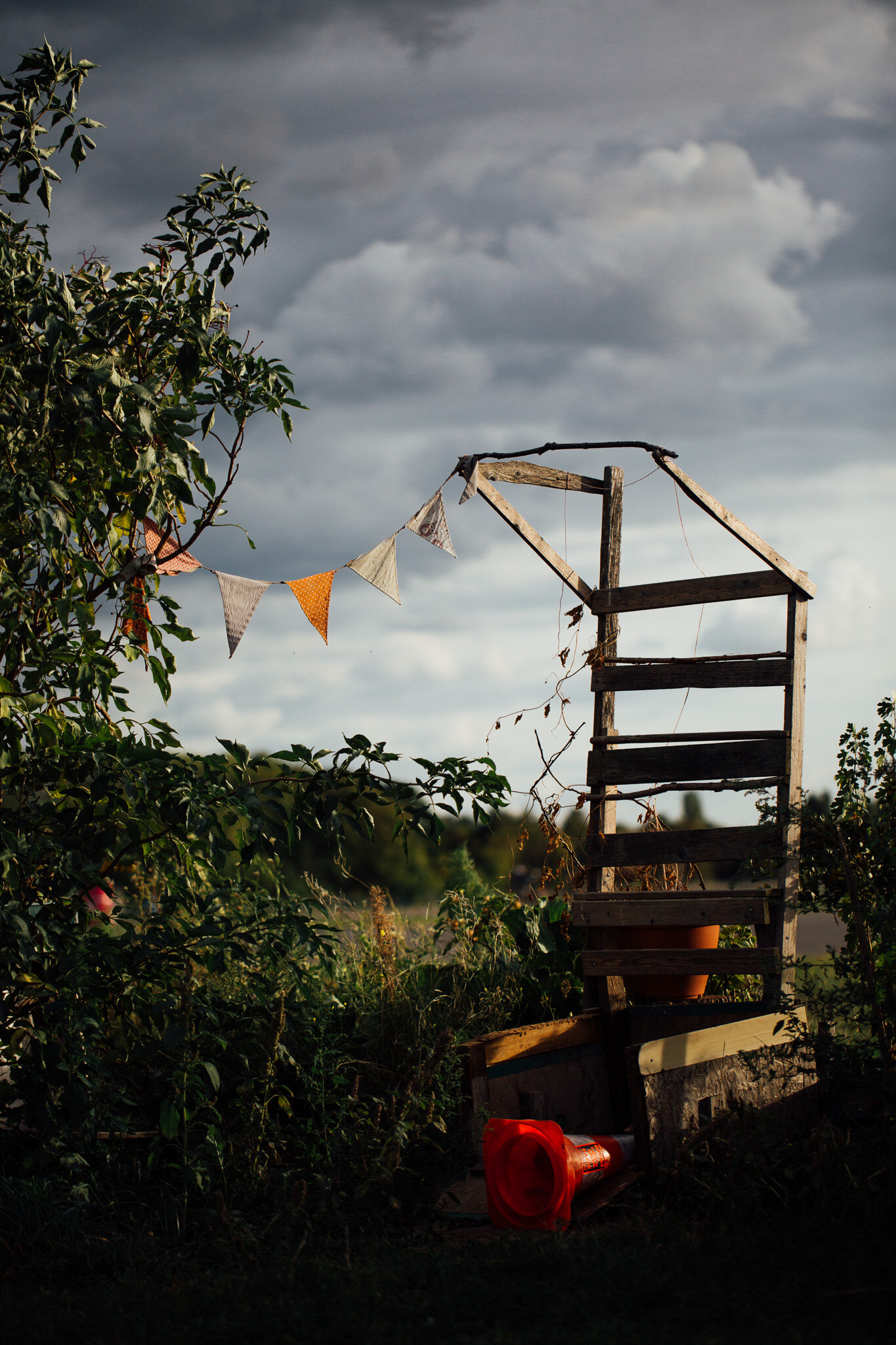 19.09.2019 Community gardens at Templehof.