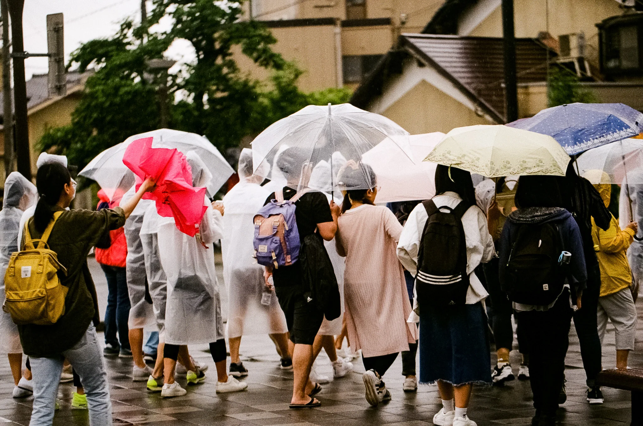 190614-Japan-Film-23-2.jpg