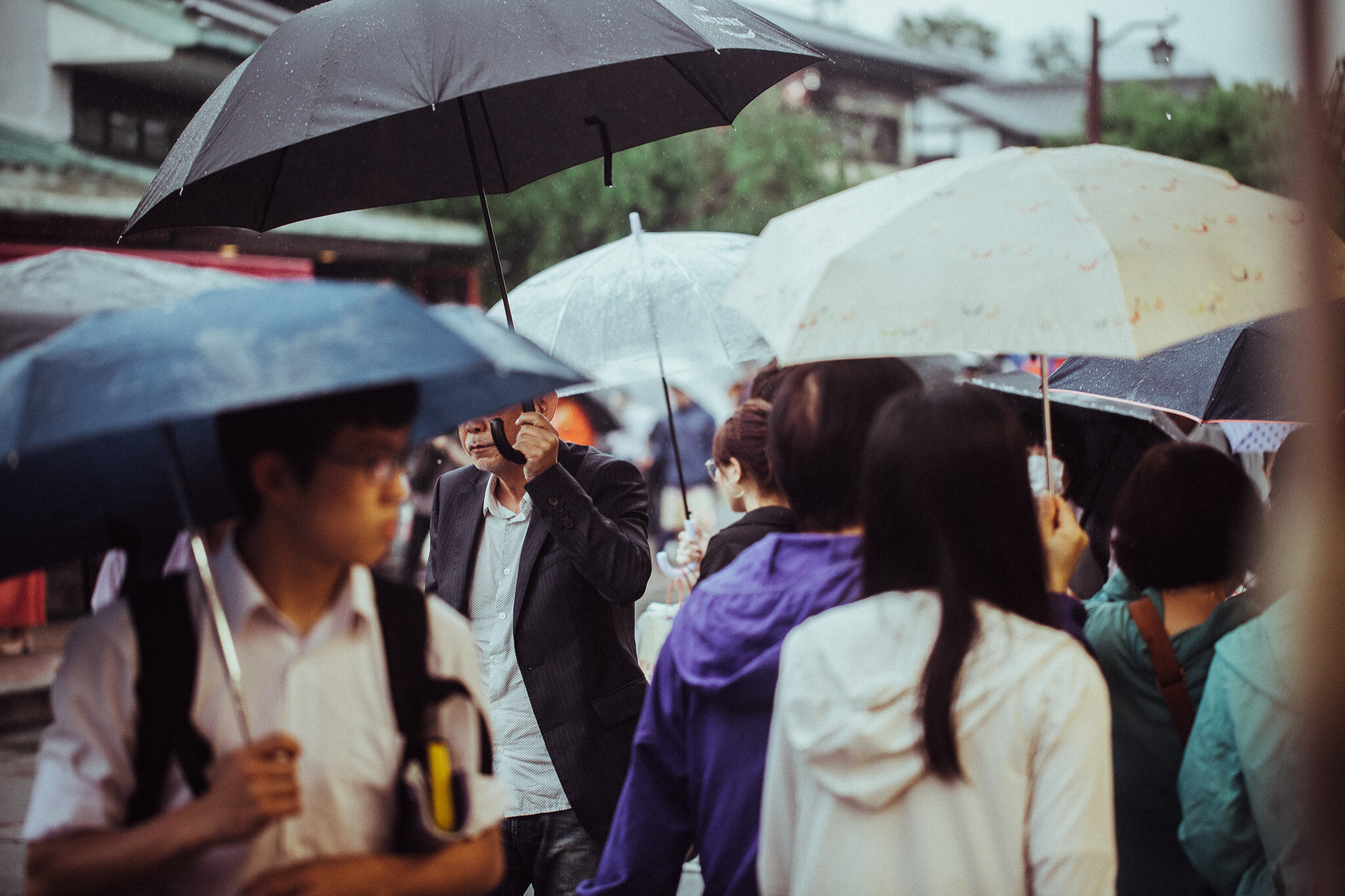 Umbrellas in Japan