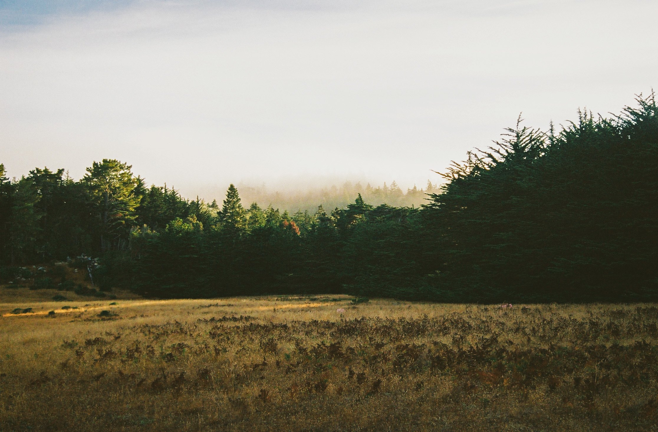 250909-Film-SeaRanch-@xingerxanger-21.jpg