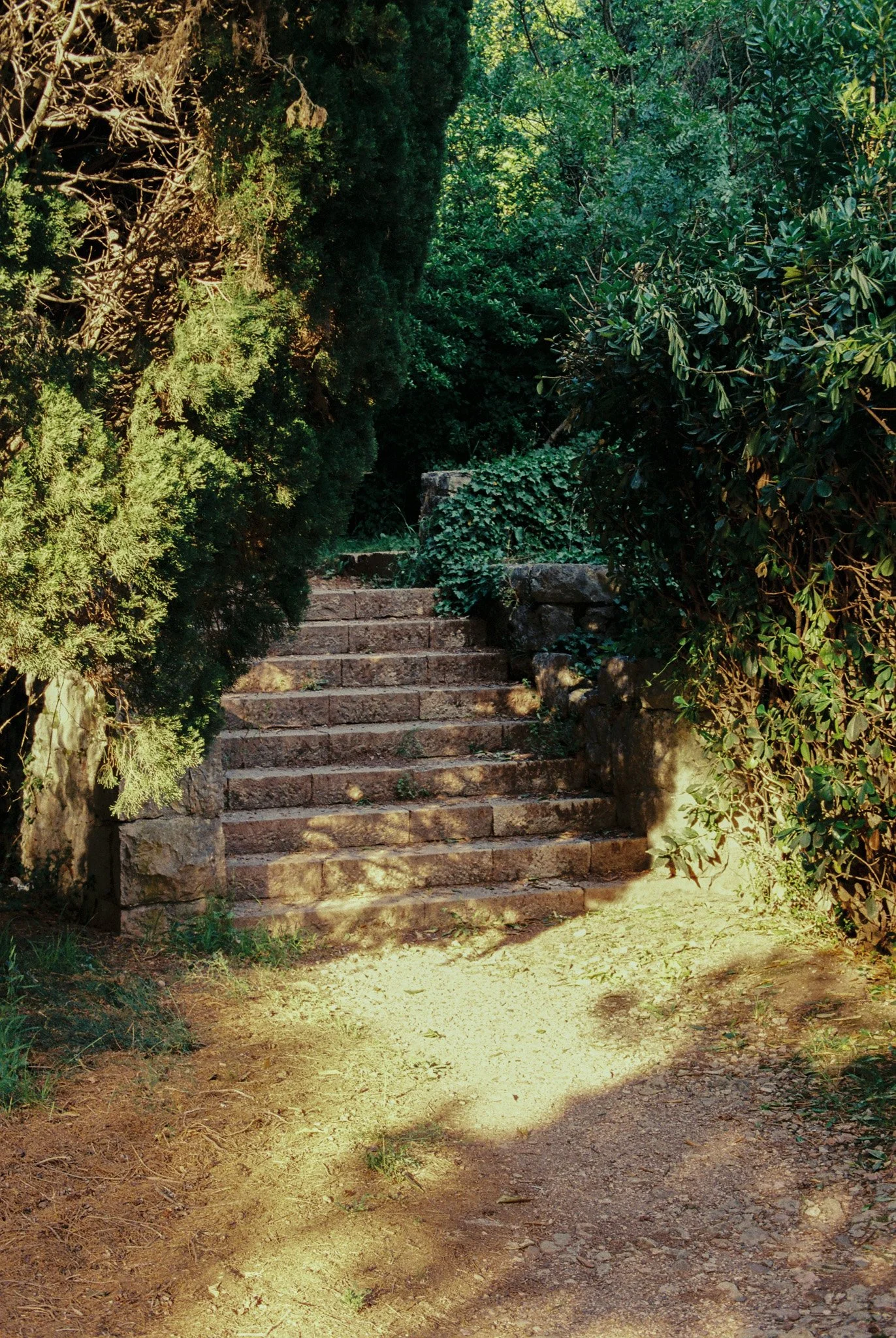 260609-Film-@xingerxanger-@xingerxanger--80.jpg