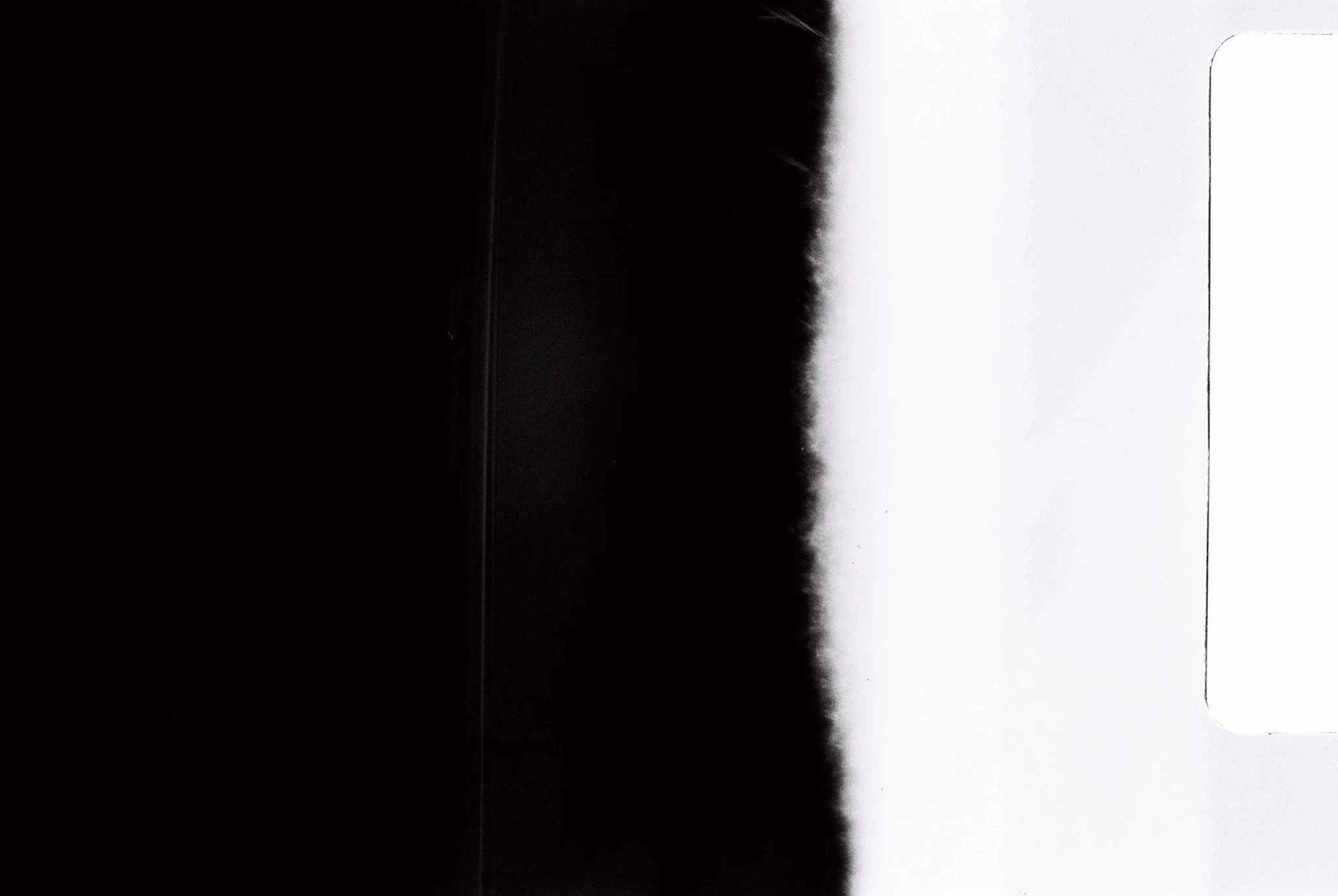 260721-CampKendall-Film-@xingerxanger-0027.jpg