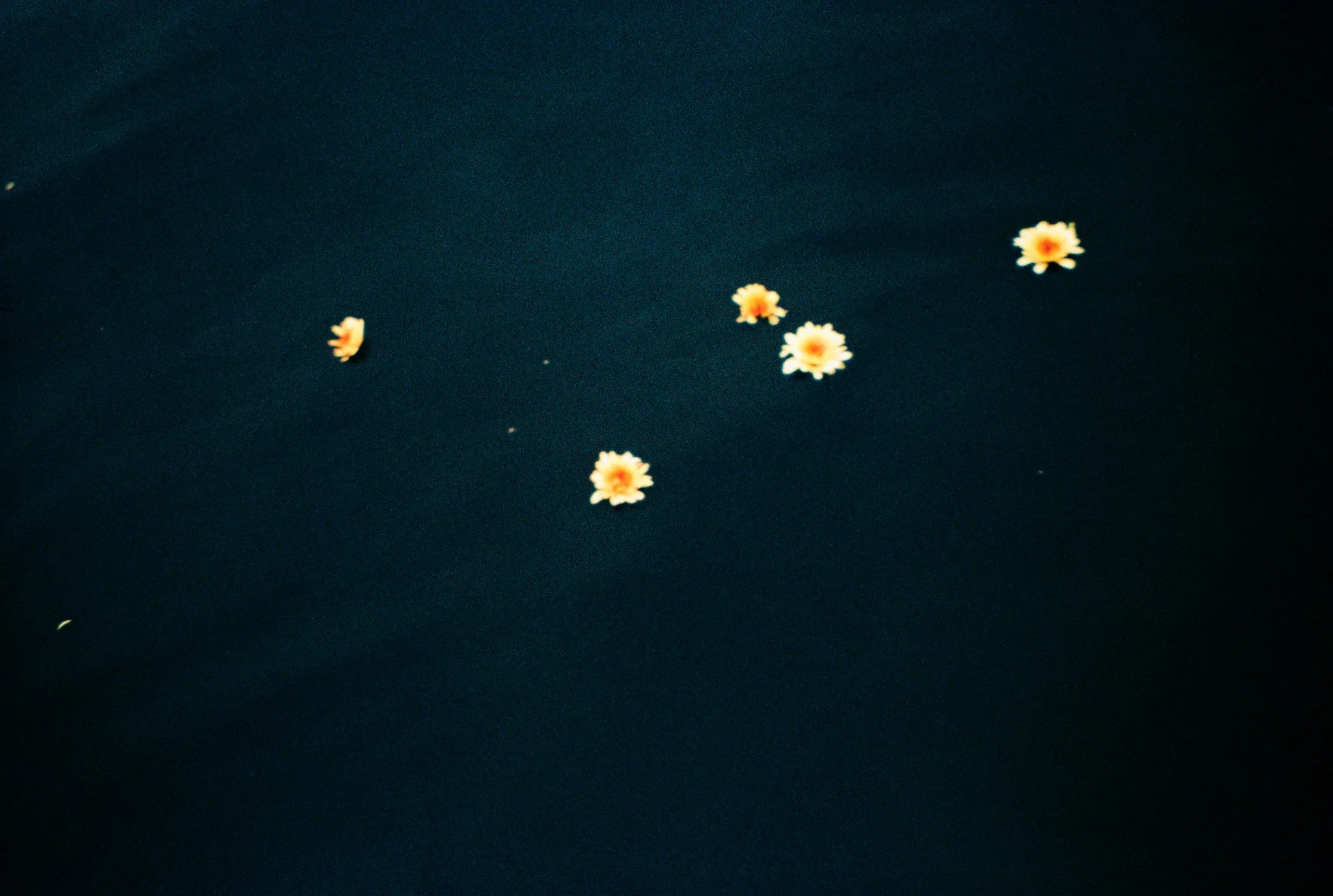 260721-CampKendall-Film-@xingerxanger-0033.jpg