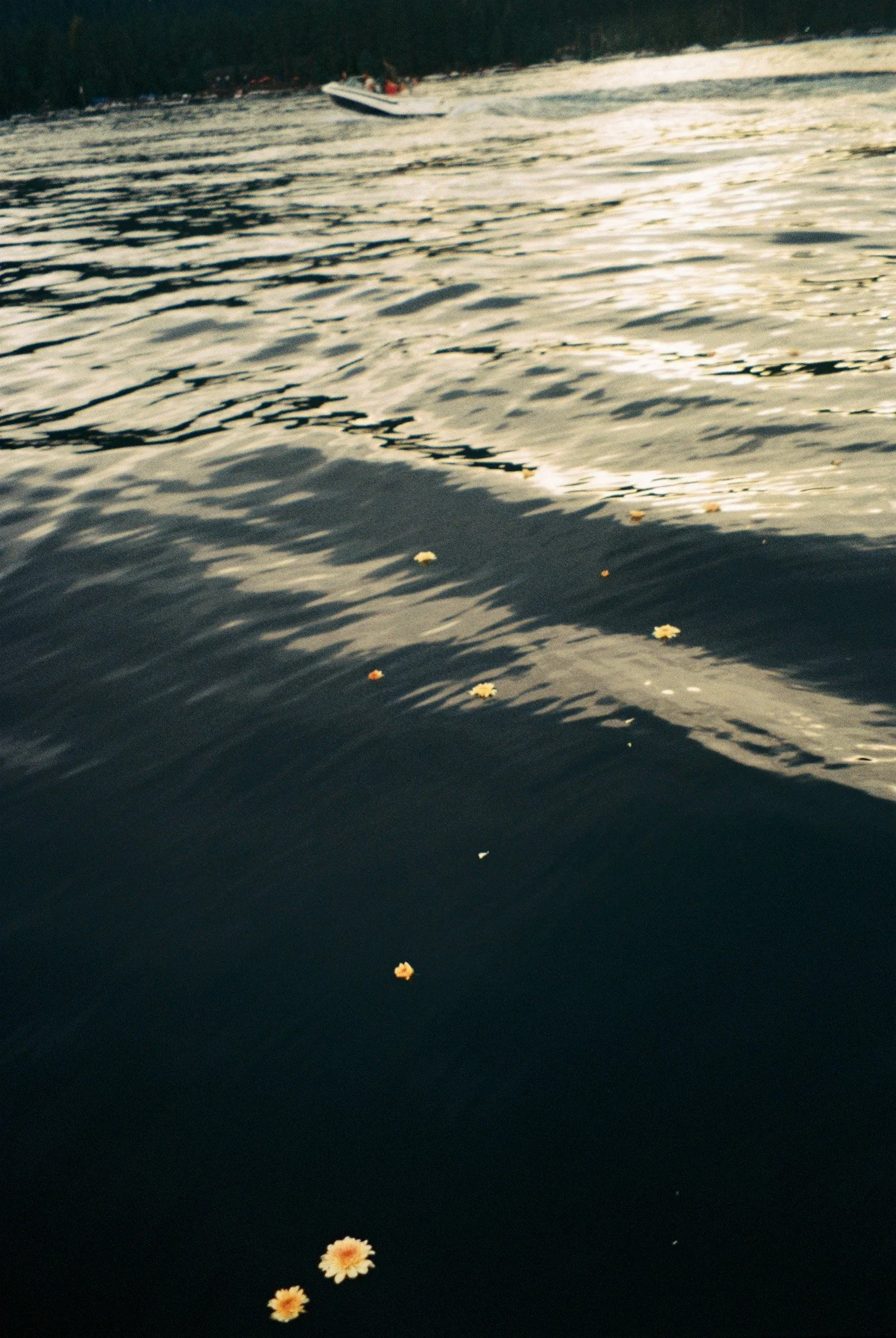 260721-CampKendall-Film-@xingerxanger-0034.jpg