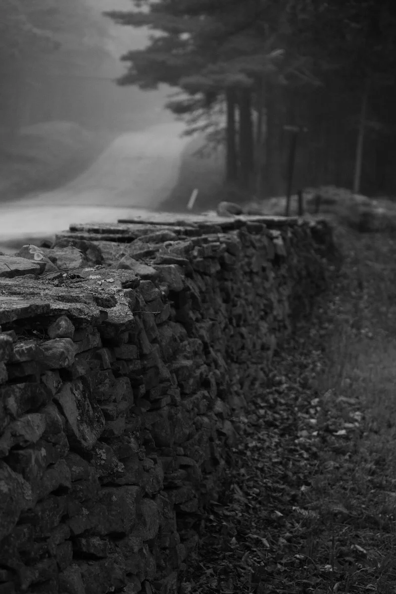 Mail Road, Stone wall running along Montoza Cemetary. 2010. Barryville, NY