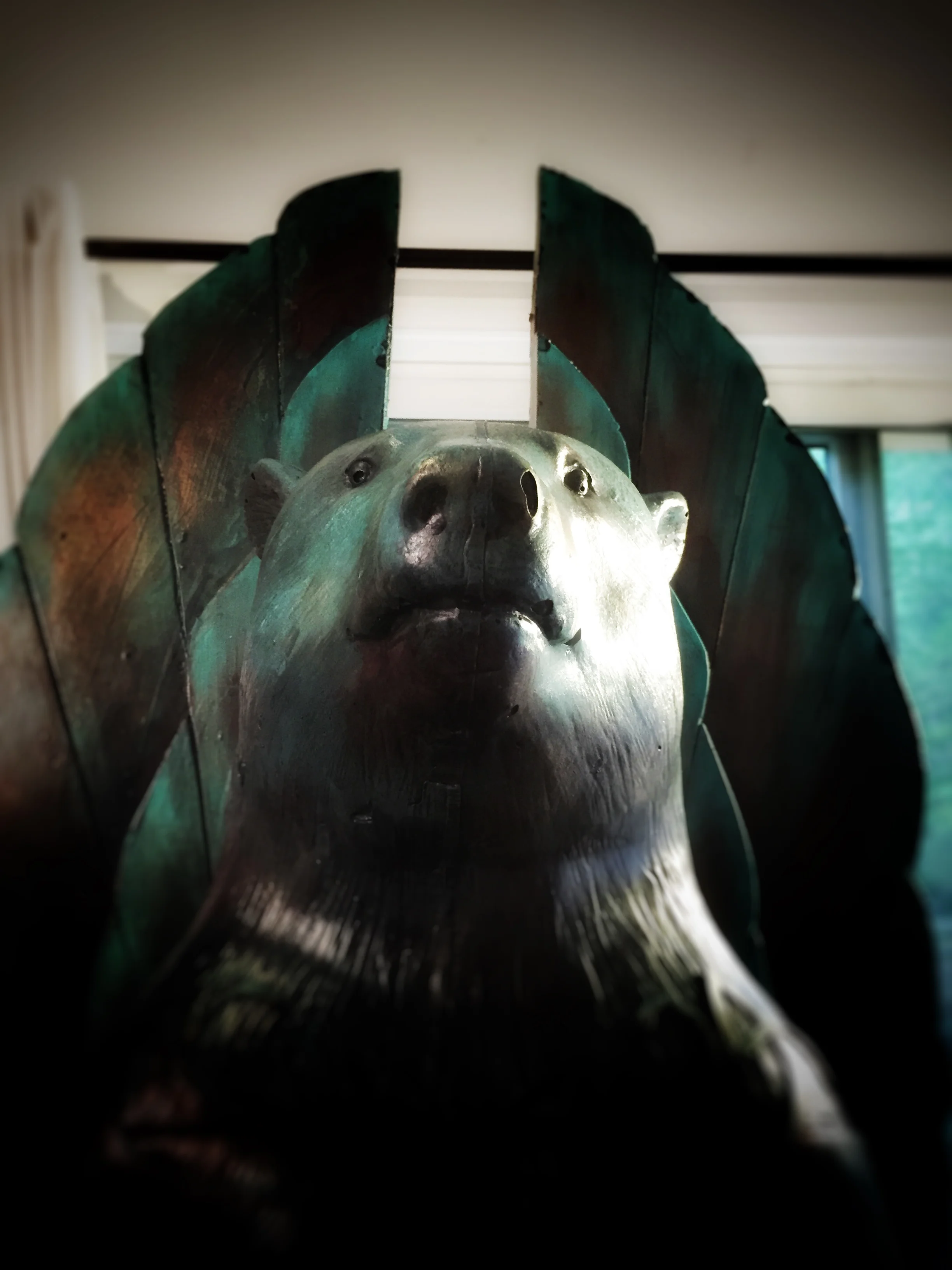 Bear - head detail