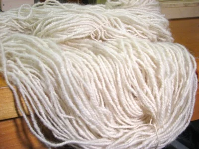 This worsted weight yarn is from Bear, a Siberian Samoyed dog.